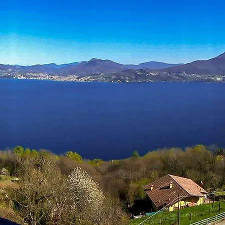 Il Vigneto