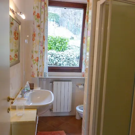 Il Vigneto