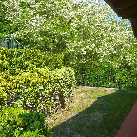 Il Vigneto Daire Oggebbio
